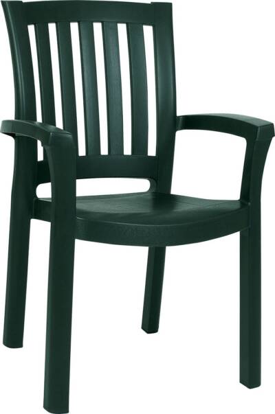 Malibu Dining Arm Chair