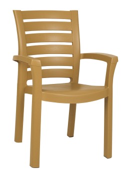 Marina Dining Arm Chair