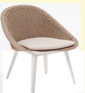 Dinosaur Egg Dining Side Chair with Dense Weave Rope