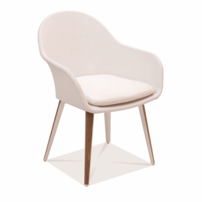 Dinosaur Egg Dining Arm Chair with Sling